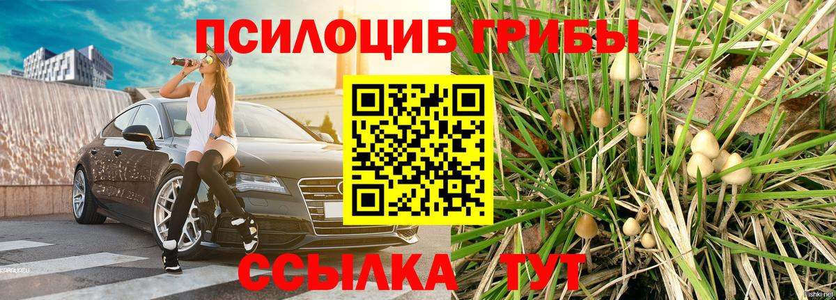Галлюциногенные грибы GOLDEN TEACHER  купить  сайты  Малгобек  Вход с VPN 